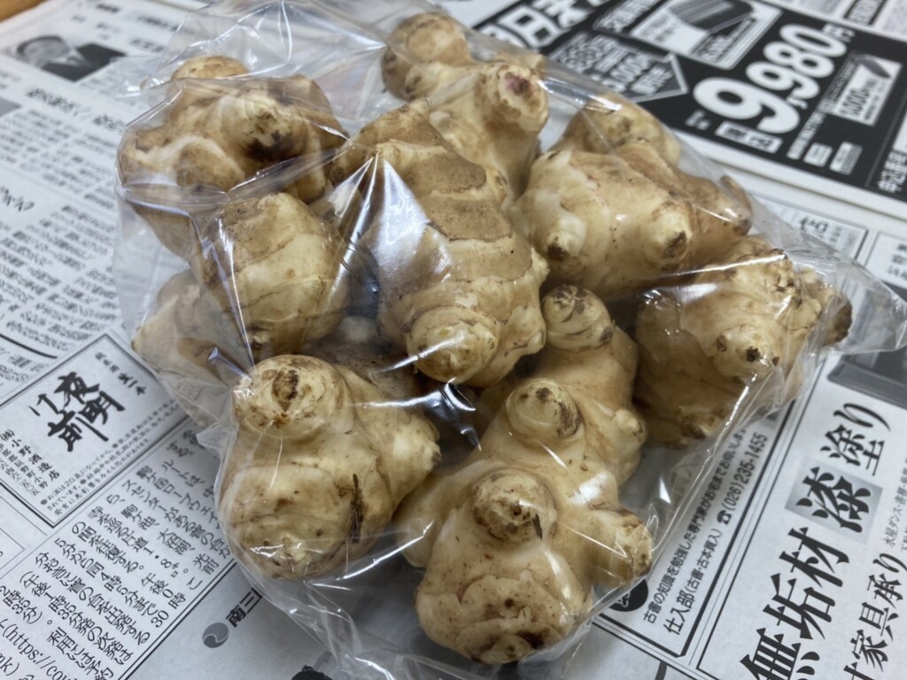 菊芋 キクイモ について知る 宮坂山脈